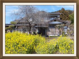静岡県静岡市葵区羽鳥７丁目