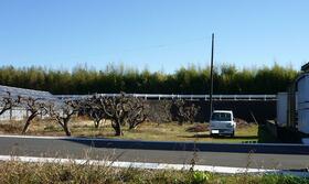 静岡県周智郡森町飯田