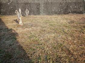 高知県高岡郡佐川町甲