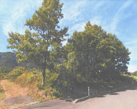 新潟県西蒲原郡弥彦村大字上泉