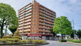 群馬県伊勢崎市境百々東