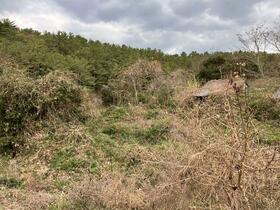 鹿児島県日置市吹上町今田