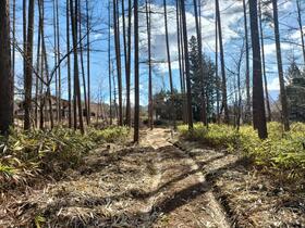 長野県諏訪郡富士見町落合烏帽子