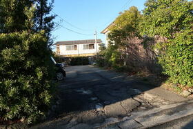 徳島県徳島市川内町大松