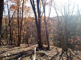 宮城県大崎市岩出山字上真山九十田