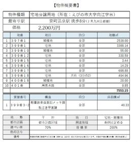 宮崎県えびの市大字向江