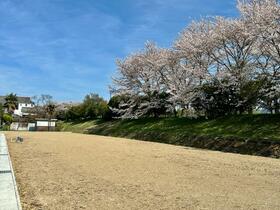 兵庫県丹波篠山市南新町