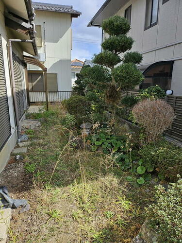 Image 69