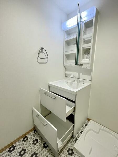 画像10:洗面化粧台はシャワーヘッド付き。歯ブラシ立てもついてます。