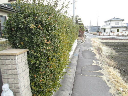 detached 長野県東御市田中
