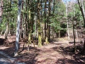 山梨県南都留郡忍野村内野