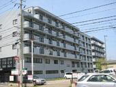 新潟市中央区米山 6階建 築29年のイメージ