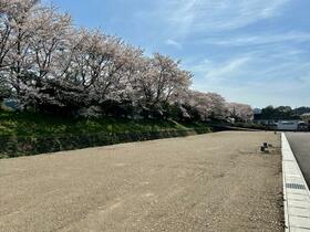 兵庫県丹波篠山市南新町