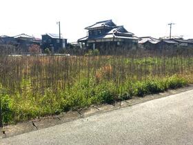 熊本県八代市植柳新町１丁目