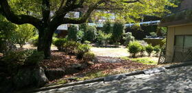 静岡県伊豆市梅木