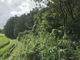 三重県松阪市嬉野島田町