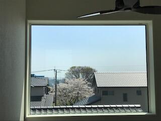 眺望：吹抜窓から桜が見えます。