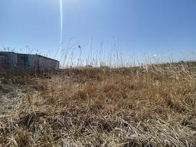 宮城県亘理郡亘理町長瀞字新海岸