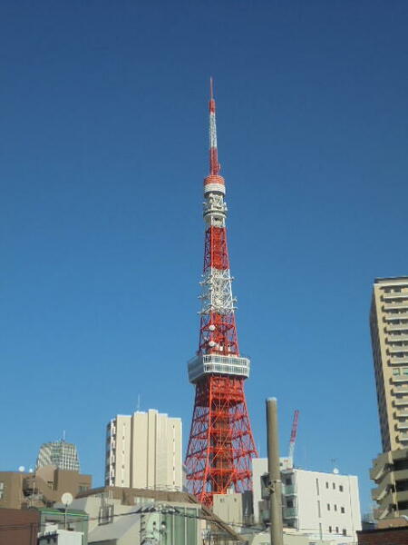 画像9:廊下から東京タワー眺望