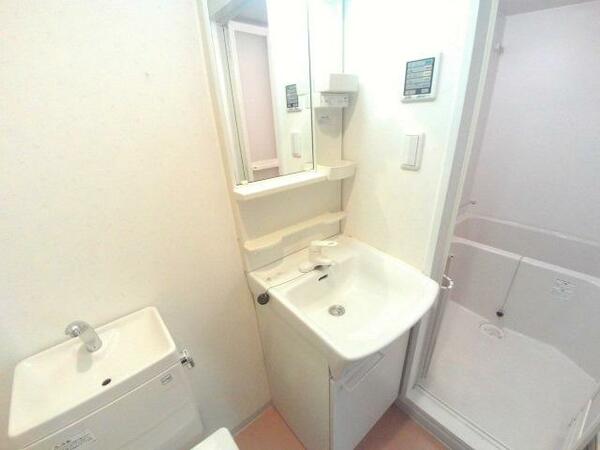 画像9:脱衣スペース（トイレと洗面台が同室です）