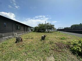 熊本県天草市志柿町