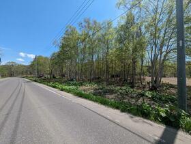 北海道虻田郡倶知安町字旭
