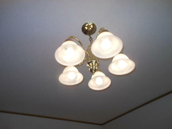 画像15:居室の照明はおしゃれなシャンデリア
