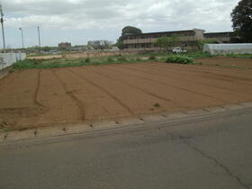 茨城県つくば市要