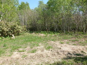 北海道岩内郡共和町発足