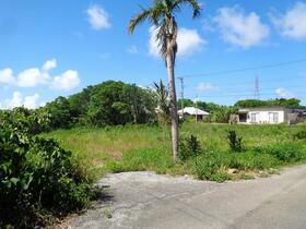 沖縄県国頭郡本部町字石川