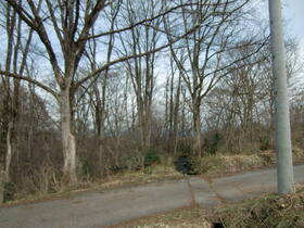 長野県上水内郡信濃町大字大井