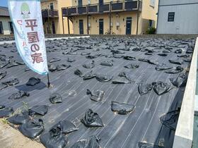 茨城県神栖市深芝南３丁目