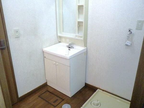 画像9:洗面台と室内洗濯機置場