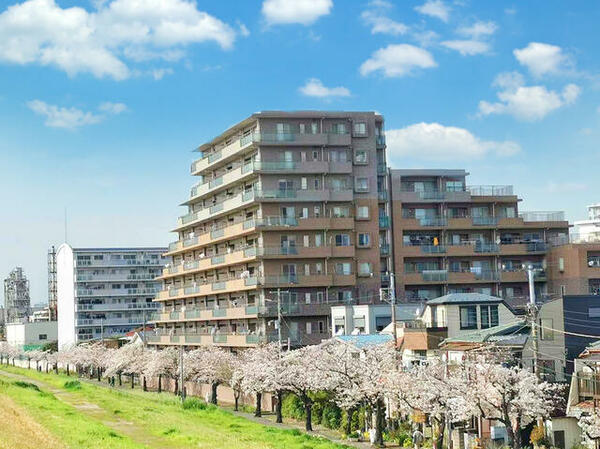 千葉県市川市大洲３丁目(賃貸マンション4LDK・1階・86.08㎡)の写真 その1