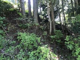 京都府亀岡市西別院町寺田中大堂谷