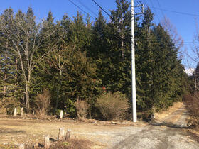 山梨県北杜市大泉町西井出