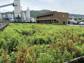 熊本県八代市本野町