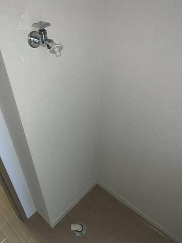 オシモンセルコ_その他_5