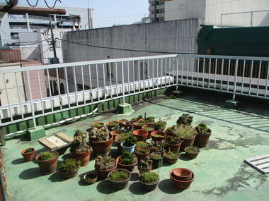 代表画像_外観@244003988603