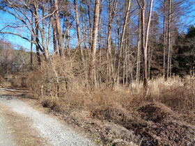 山梨県北杜市長坂町白井沢