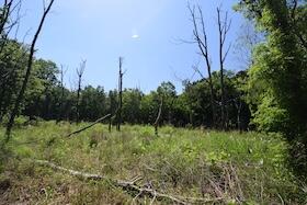 静岡県伊東市荻