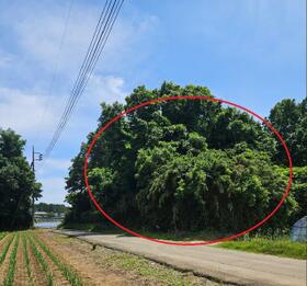 茨城県鉾田市安房