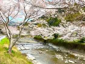 静岡県静岡市清水区中河内