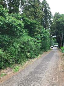 茨城県つくば市栗原