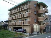 クィーンズマンション光の森のイメージ