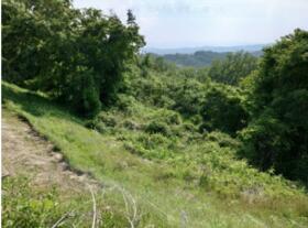 長野県佐久市印内