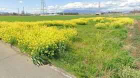 群馬県伊勢崎市小泉町