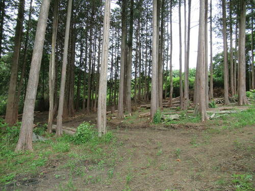 Land, Nasukarasuyama, Tochigi