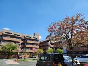 ラヴィーコート