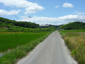 宮城県大崎市三本木音無字前林山